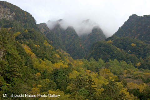 kamikochi (13)